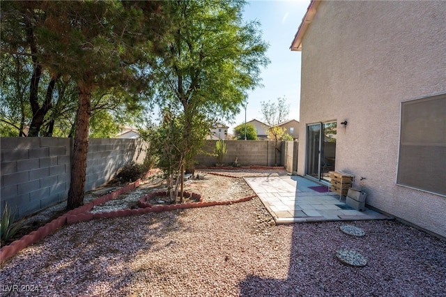 view of yard featuring a patio