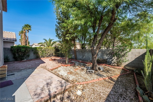 view of yard featuring a patio area