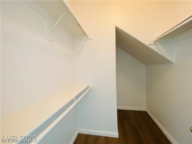 spacious closet featuring dark wood-type flooring