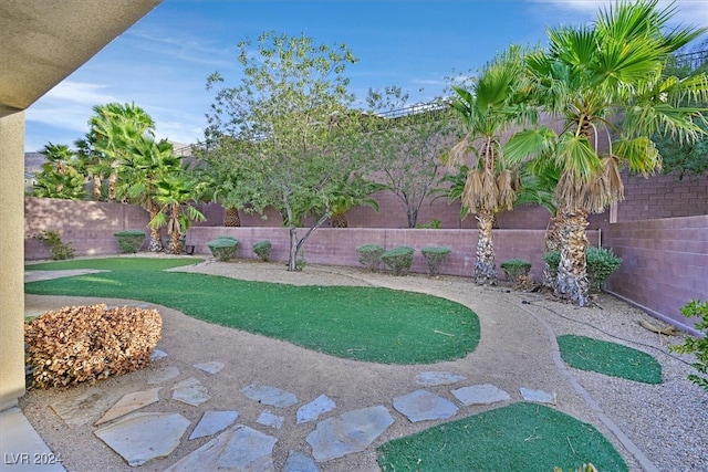 view of yard featuring a patio area