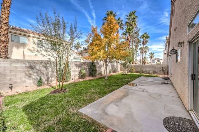 view of yard with a patio area