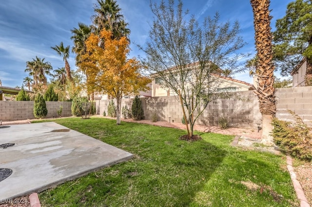 view of yard with a patio area