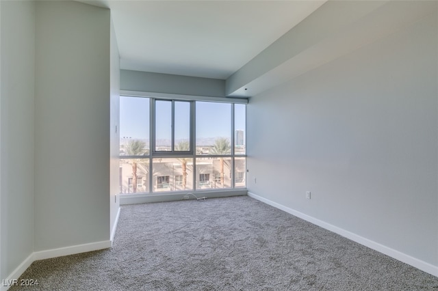 carpeted empty room featuring a healthy amount of sunlight