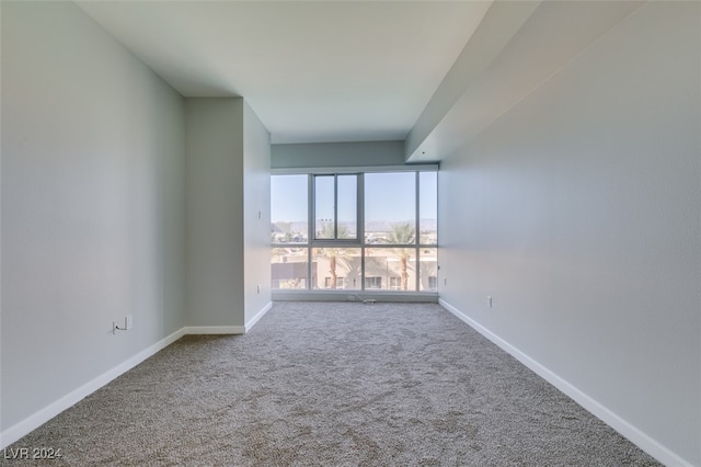 empty room featuring carpet floors