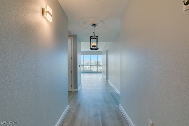 corridor with light hardwood / wood-style flooring