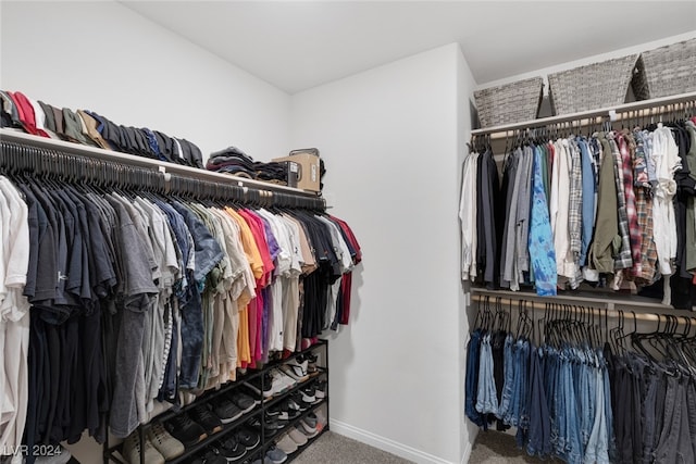 walk in closet featuring carpet flooring