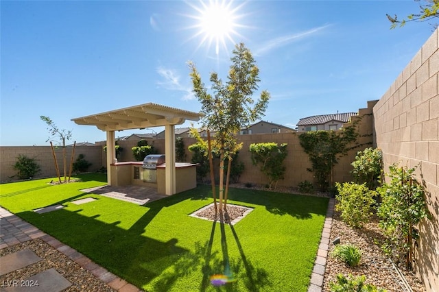 view of yard featuring an outdoor kitchen and a patio