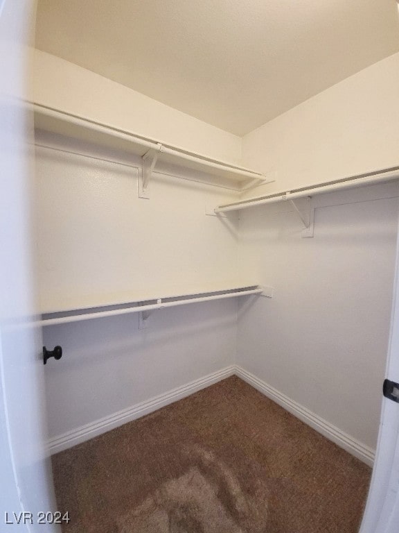 spacious closet featuring carpet