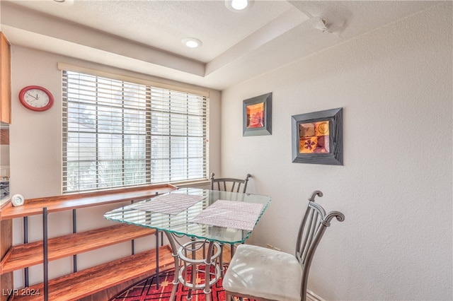 dining space with hardwood / wood-style floors and a tray ceiling