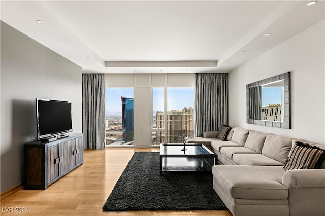 living room with light hardwood / wood-style floors and a tray ceiling