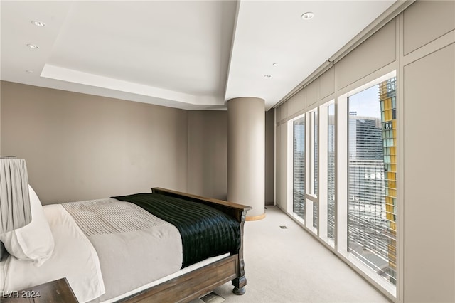 carpeted bedroom featuring a tray ceiling and access to exterior