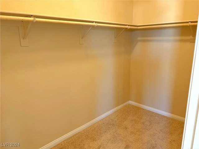 spacious closet featuring carpet flooring