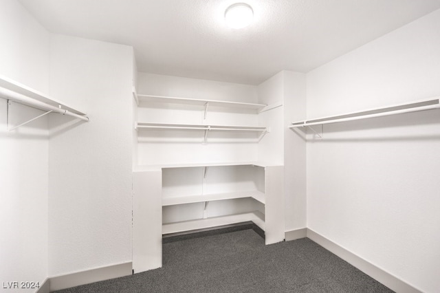 spacious closet featuring dark colored carpet