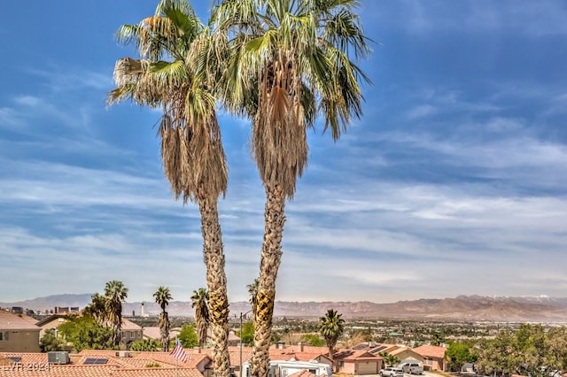 view of yard featuring a mountain view