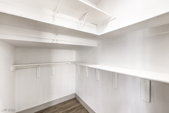 walk in closet featuring dark hardwood / wood-style floors