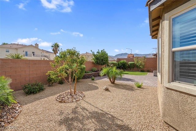 view of yard featuring a patio