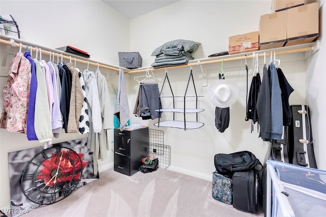 spacious closet featuring light colored carpet