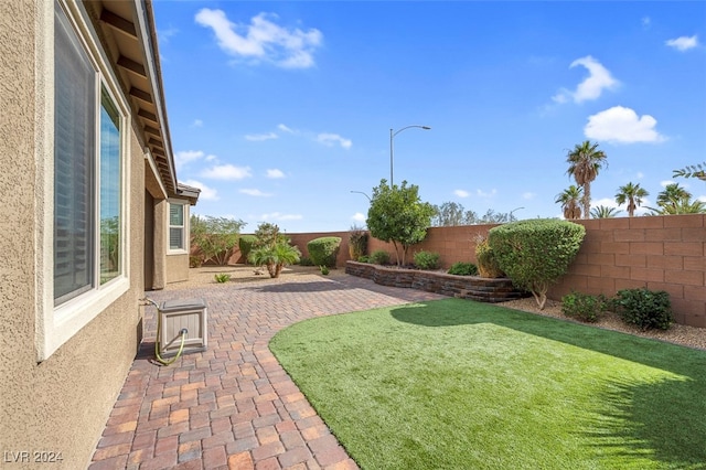 view of yard featuring a patio area