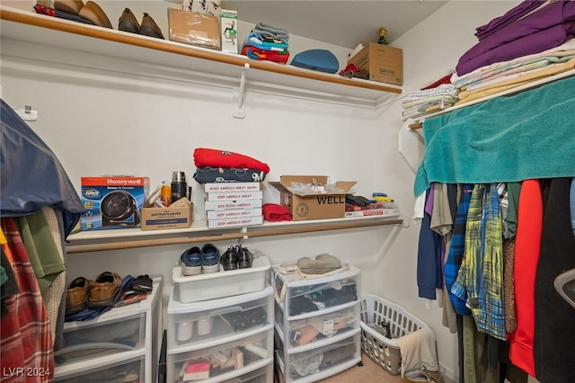 spacious closet featuring carpet