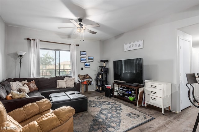 living room featuring wood-type flooring and ceiling fan