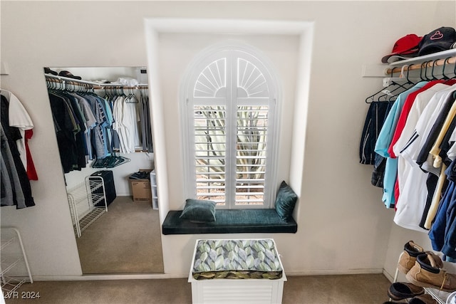 walk in closet with carpet floors