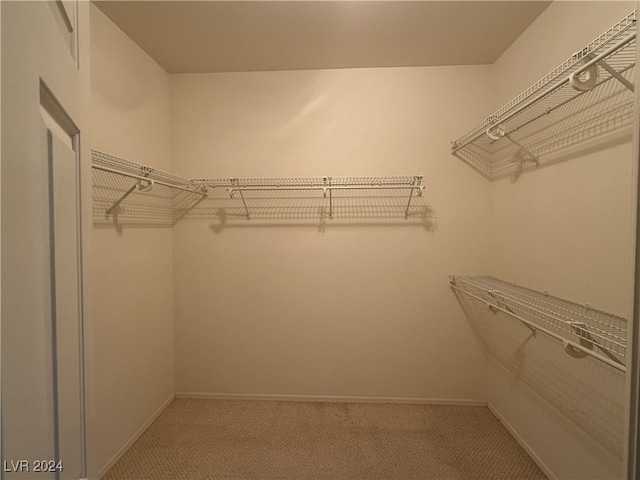 walk in closet featuring carpet flooring