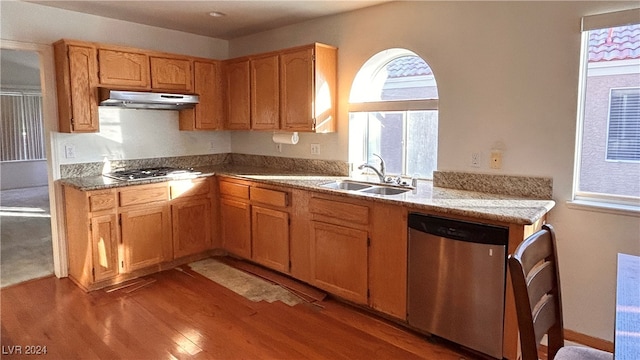 kitchen featuring hardwood / wood-style flooring, sink, and appliances with stainless steel finishes