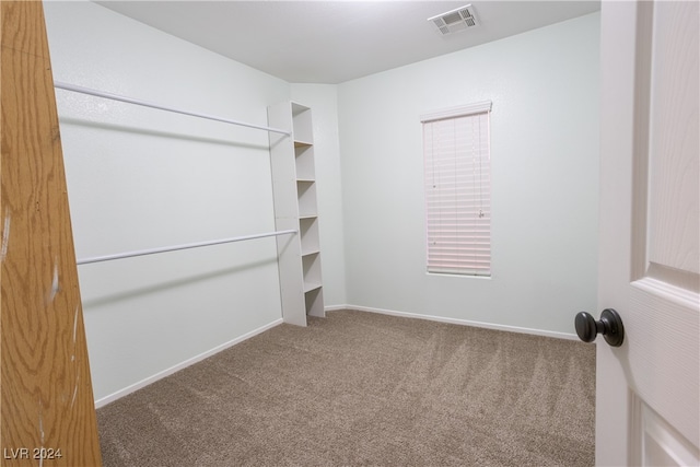 spacious closet with carpet flooring