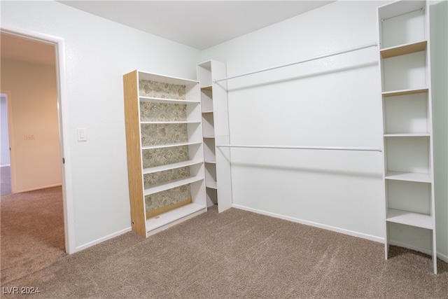 walk in closet with carpet