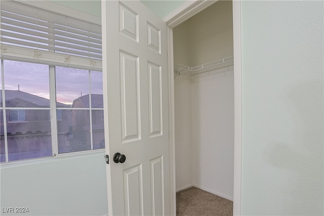 view of closet