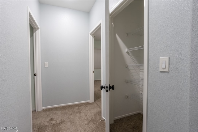 walk in closet featuring light colored carpet