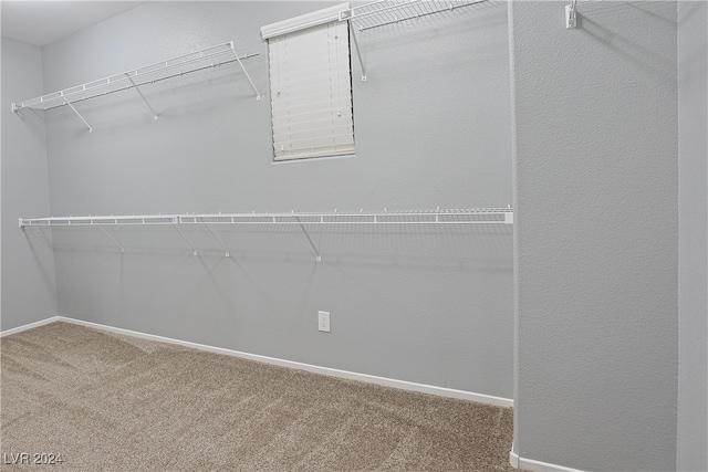 spacious closet with carpet flooring