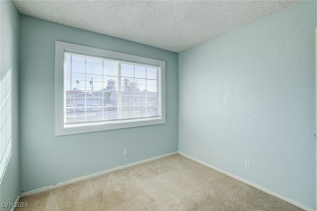 empty room featuring a textured ceiling and light colored carpet