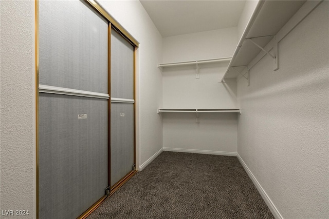 walk in closet featuring dark colored carpet