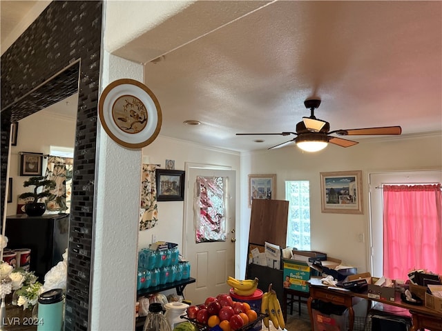 recreation room with ornamental molding, a textured ceiling, and ceiling fan