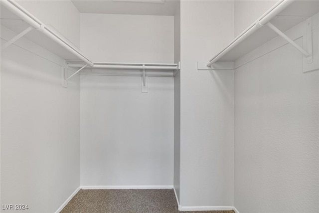 walk in closet with dark carpet