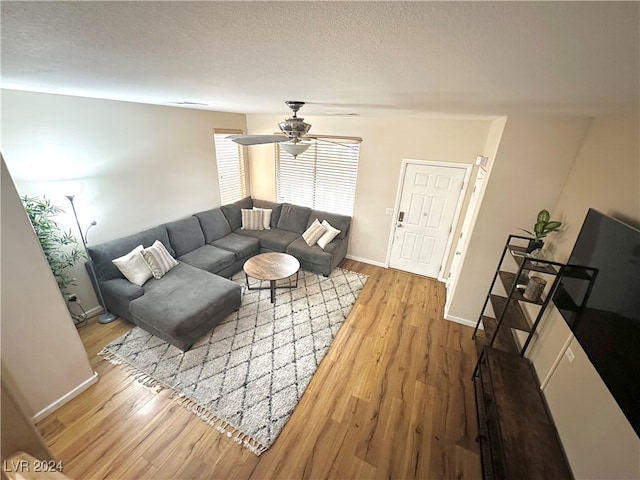 living room featuring hardwood / wood-style floors, a textured ceiling, and ceiling fan