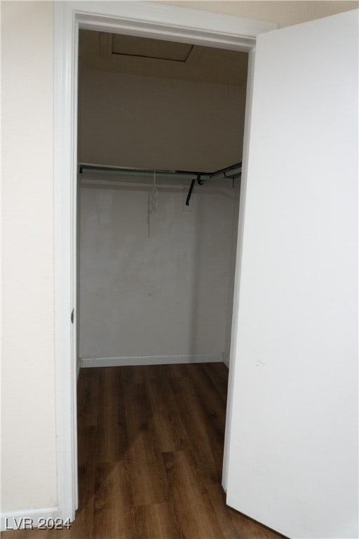 spacious closet with dark hardwood / wood-style flooring