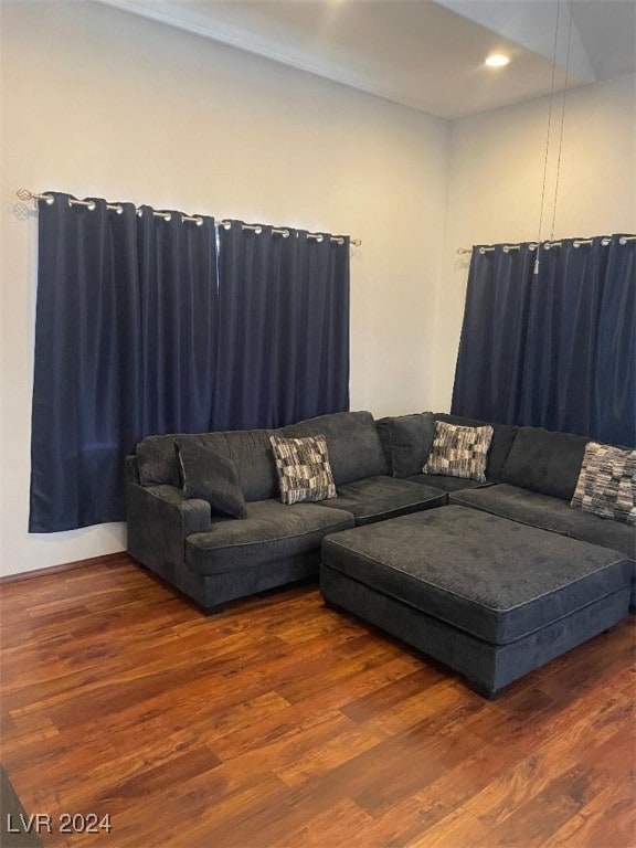 living room featuring wood-type flooring