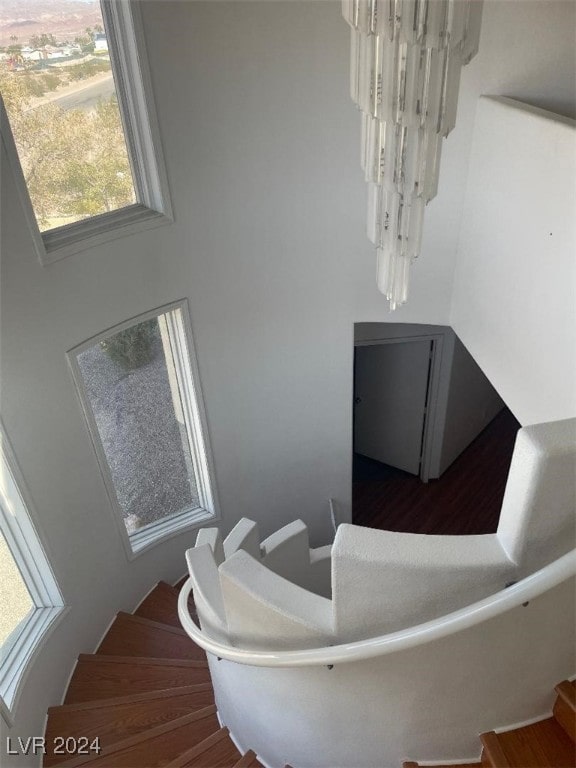 staircase with a wealth of natural light