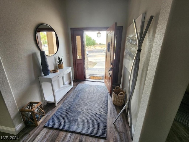 entrance foyer featuring dark wood-type flooring