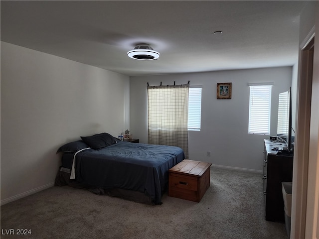 bedroom featuring carpet floors