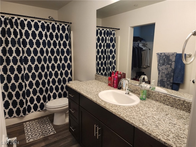 bathroom featuring vanity, toilet, and wood-type flooring