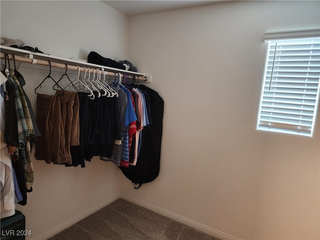 walk in closet featuring carpet floors