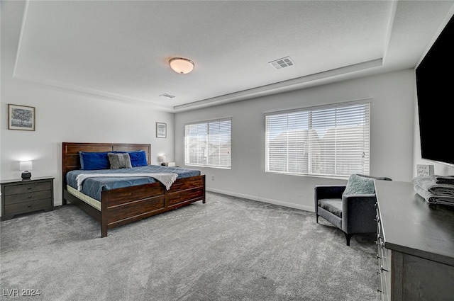 carpeted bedroom featuring a textured ceiling and a raised ceiling