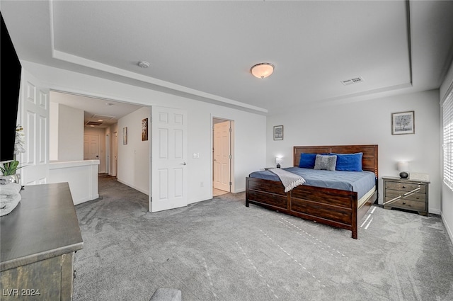 carpeted bedroom featuring a tray ceiling