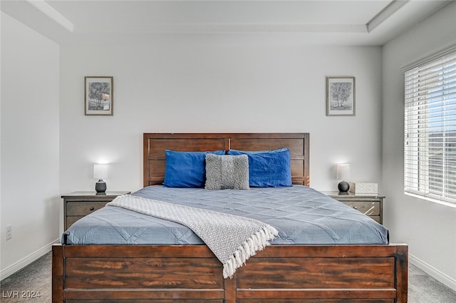 bedroom with carpet floors