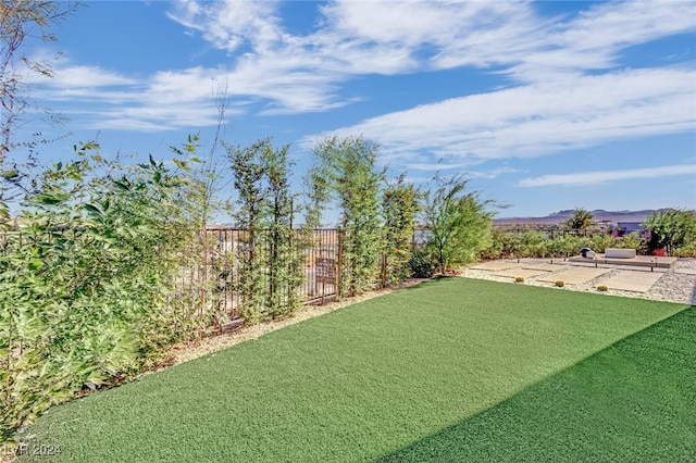 view of yard featuring a patio