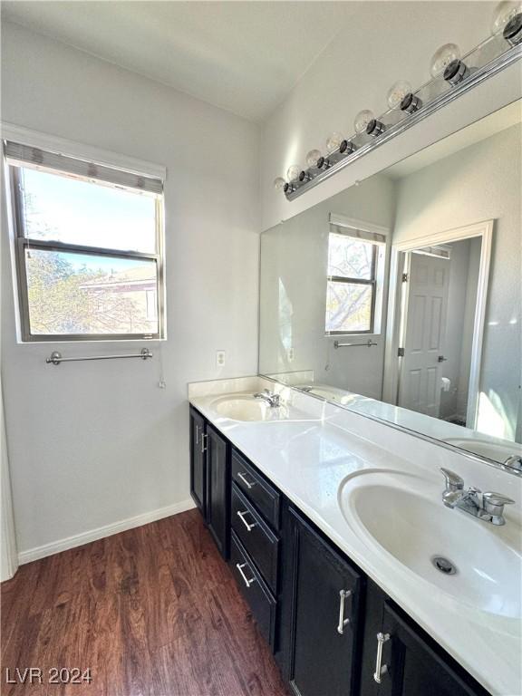 bathroom with a healthy amount of sunlight, vanity, and wood-type flooring