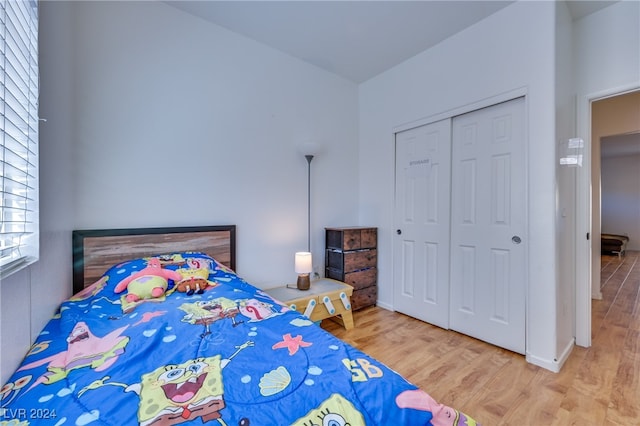 bedroom with a closet and wood-type flooring